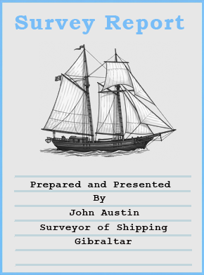 Surveyors report